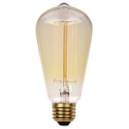 Westinghouse 0412000 40 Watt ST20 Clear Timeless Vintage Ins