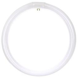 Sunlite 05035-SU 12" 32 Watt T9 Circline, 4-Pin Base, Daylig