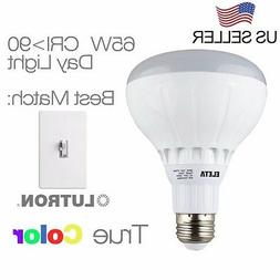 Daylight Warm White 2700k/5500k