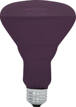 GE Lighting 22748 75-Watt Black Light Indoor R30 Flood