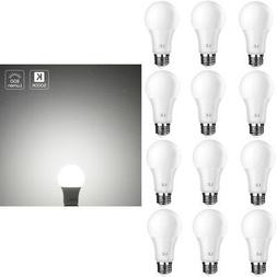 60 Watt Equivalent A19 LED Light Bulb, Daylight White 5000K 