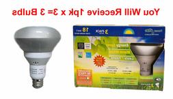 Compact Fluorescent Floodlights, 18-Watt CFL, R30  3-Bulbs