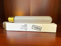 Frosted 25 Watt Intermediate Base Nos