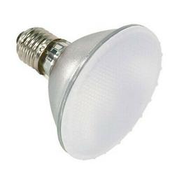 Satco S4131 39w 120v PAR30 FL42 Soft Ray Frosted Xenon Halog